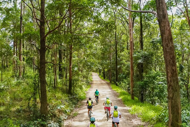 Self Guided E Bike Tour - Unicorn Falls, Rainforest & Rail Trail - Meeting and Pickup Info