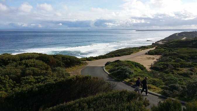 Self-Guided Point Nepean National Park Bike Hire - Meeting and Pickup Details