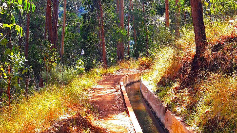 Serra De Água Valley Levada Walk - Booking Information