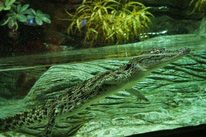 Seville Aquarium Admission Ticket - Refund Policy and Pricing