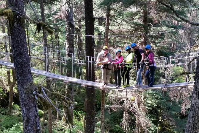 Seward Alaska Small-Group Ziplining Experience in Nature - Cancellation Policy
