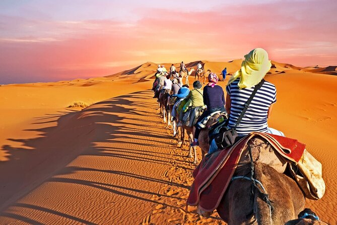 Shared Group Fez to Fez Sahara Tour 2days/1night - Reviews Overview