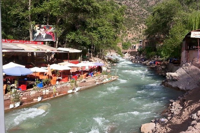 Shared Trip : Day Trip to Ourika Valley Atlas Mountains - Customer Reviews