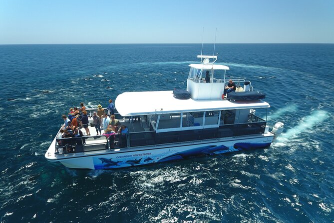 Shared Two-Hour Whale Watching Tour From Oceanside - Catamaran Boarding Details