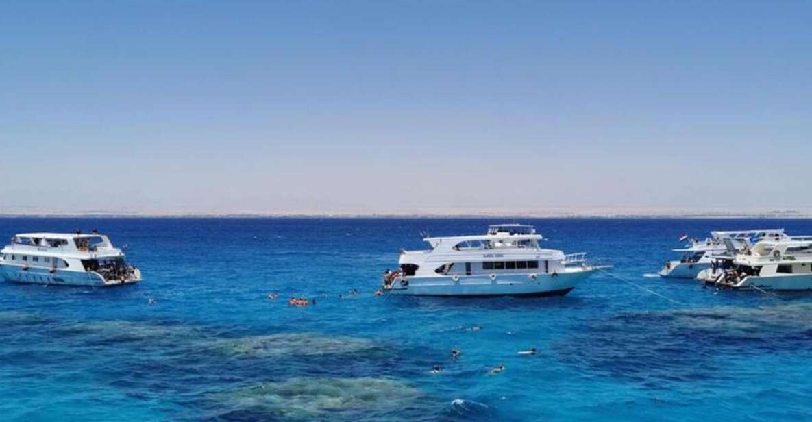 Sharm El-Sheik: Coral Reef Glass-Bottom Boat Tour - Full Activity Description