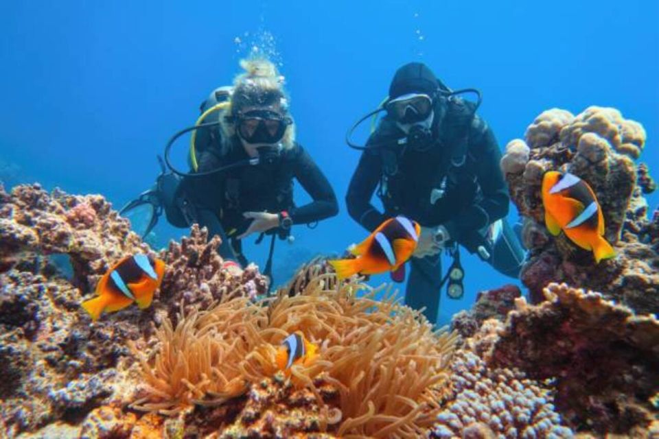 Sharm El Sheikh: 4-Day PADI Open Water Diver Course - Pickup and Transfers