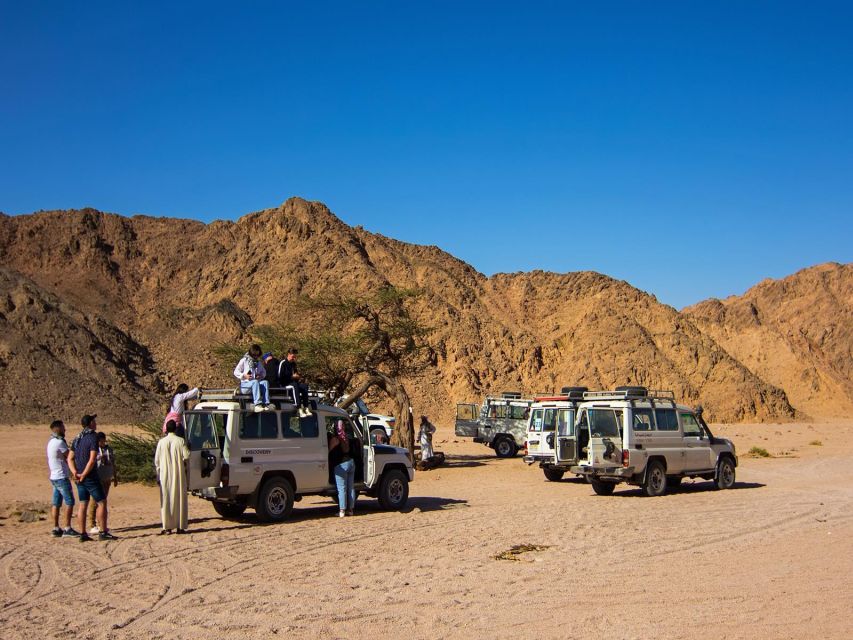 Sharm El Sheikh: Dahab, Canyon, Camel, and Snorkel Jeep Tour - Review Summary