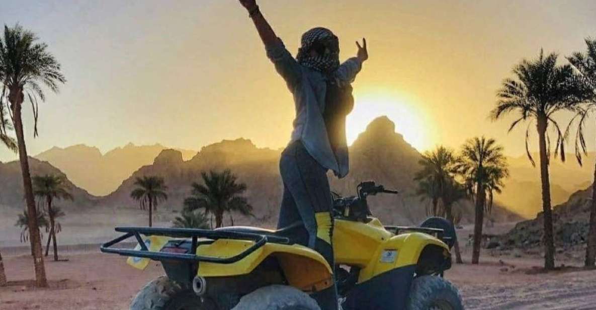 Sharm El Sheikh: Private City Tour With ATV and Bedouin Tent - Itinerary Information