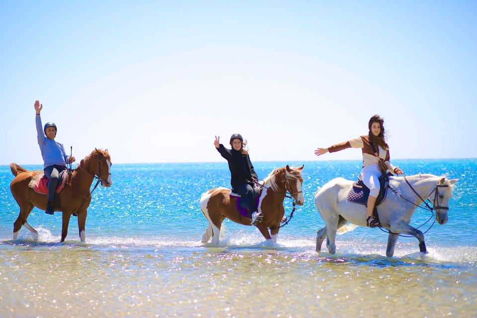 Sharm El Shiekh: Beach and Desert Horse Riding Tour - Activity Highlights