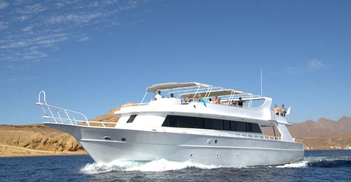 Sharm: White Island and Ras Mohmmed Snorkeling Cruise - Customer Feedback
