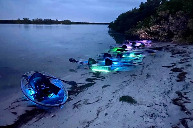 Shell Key Clear Kayak Glow in the Dark Tour - Guide Appreciation