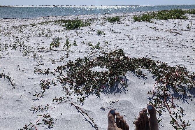 Shell Key Ferry From Ft. Desoto Boat Ramp in Tierra Verde, FL - Operator Information and Cancellation Policy