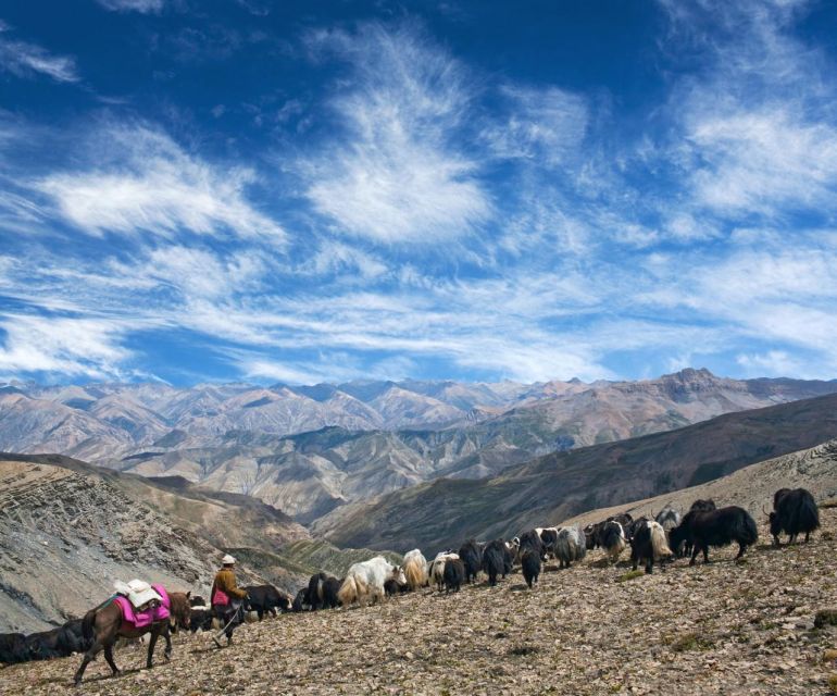 Shey Phoksundo Lake Trek - Trek Itinerary