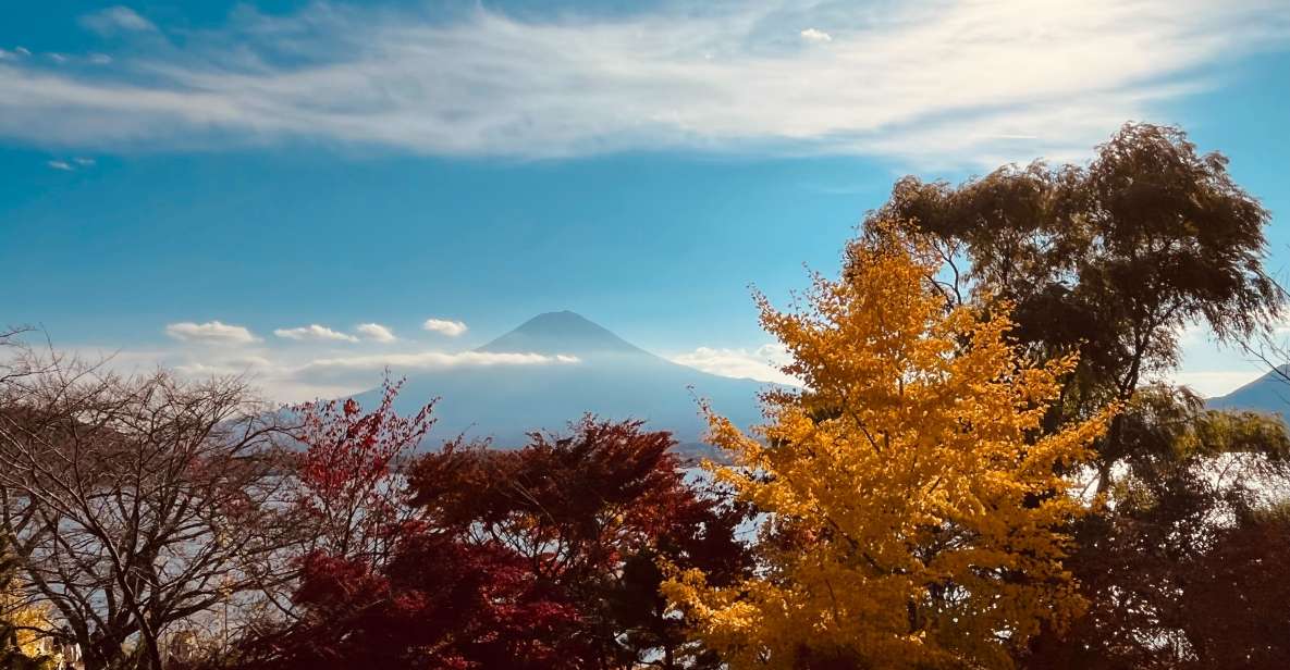 Shinjuku: Mount Fuji Panoramic View and Shopping Day Tour - Payment and Reservation