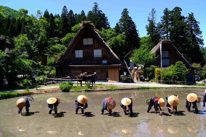 Shirakawa-Go From Nagoya One Day Bus Self-Guided Tour - Travel Itinerary