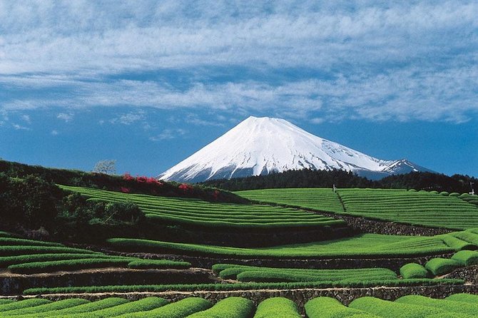 Shizuoka/Shimizu Mt Fuji View 6 Hr Private Tour: Guide Only - Questions and Support