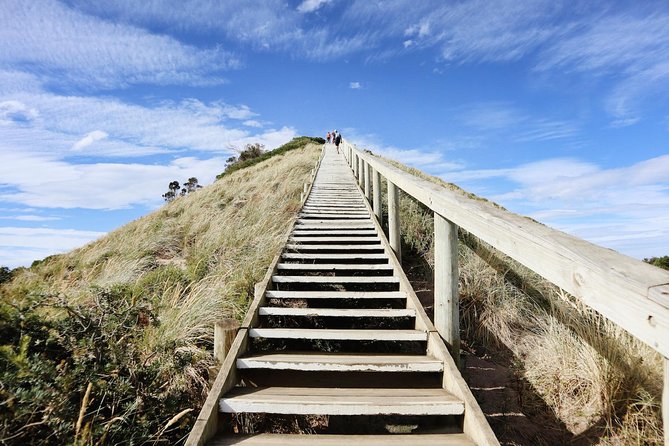 SHORE EXCURSION - Full-Day Guided Bruny Island Tour From Hobart - Booking Process