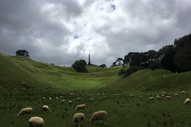 Shore Excursion: Half-Day Auckland Volcanoes Tour - Inclusions and Amenities