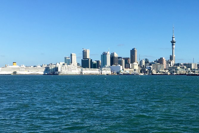 Shore Excursion: Half Day Small Group Auckland Scenic Tour - 4 HOURS - Common questions