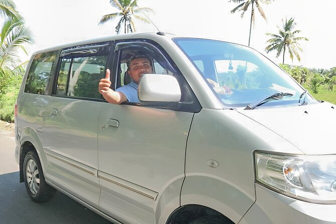 Shore Excursion: Private Bali Car Rental Service - Traveler Feedback