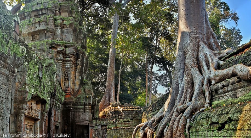 Siem Reap: Angkor Wat Private 1-Day Tour With Banteay Srey - Tour Itinerary