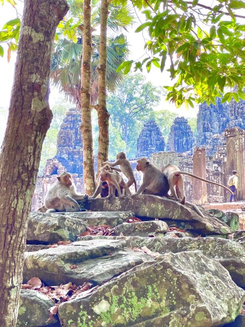 Siem Reap: Angkor Wat Private Full Day Tour - Tour Highlights