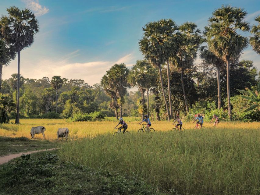 Siem Reap: Countryside Bike Tour With Guide and Local Snacks - Important Information