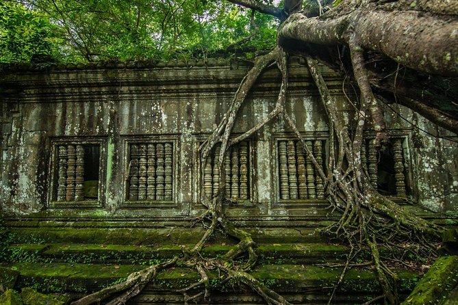 Siem Reap Highlights & Hidden Gems: 4-Day Temple Tour (Mar ) - Day 3: Discovering Ta Prohm & Banteay Srei