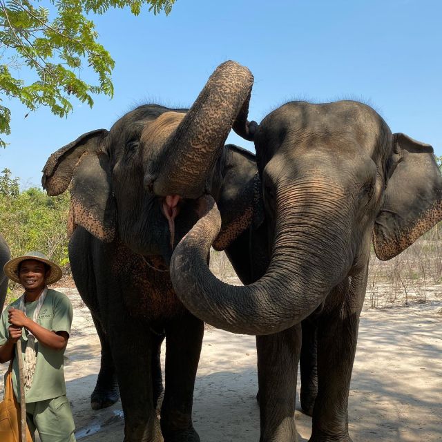 Siem Reap: Kulen Elephant Forest & Tonlesap Lake - Review Summary