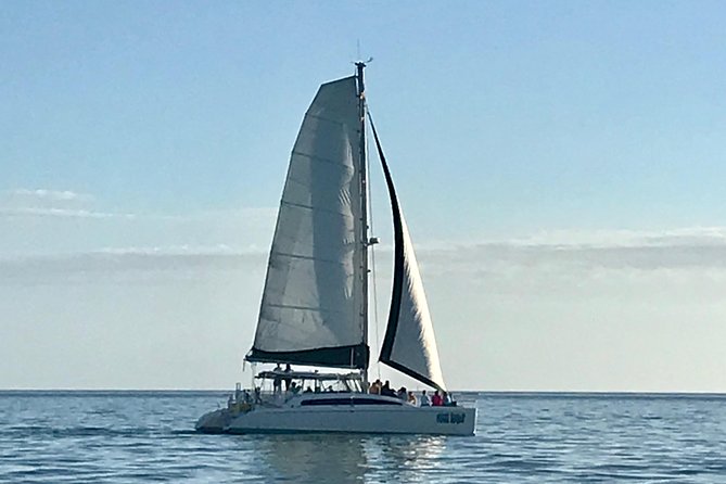 Sightseeing and Sunset Catamaran Sailing Excursion - Customer Reviews and Testimonials