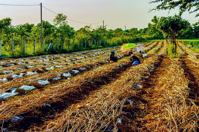 Silk Island Private Half-Day Tour From Phnom Penh - Pickup and Drop-off Details