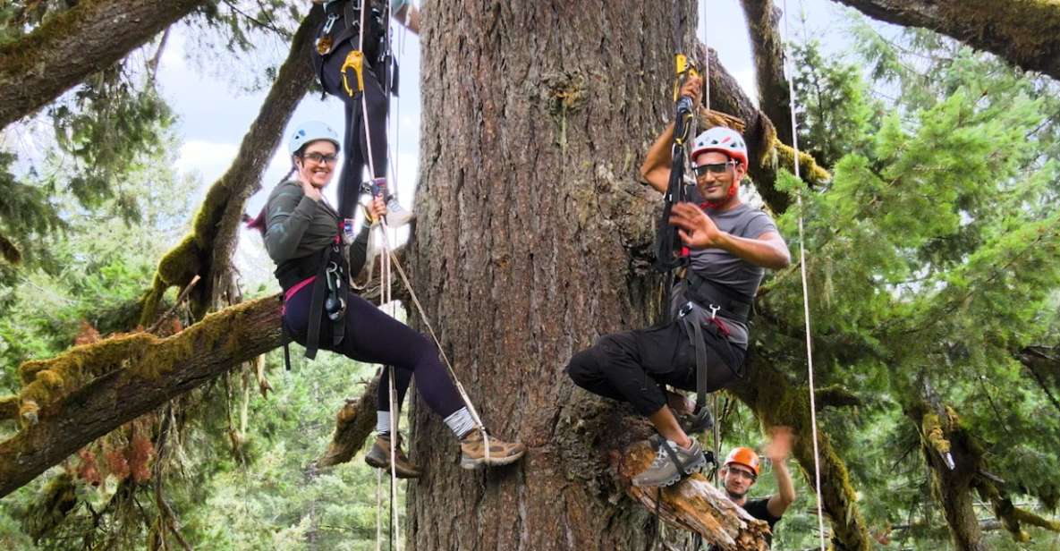 Silver Falls: Old-Growth Tree Climbing Adventure - Important Information