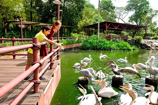 Singapore Bird Paradise & Zoo Full Day (Ticket & Transfer ) - Reviews and Ratings Summary