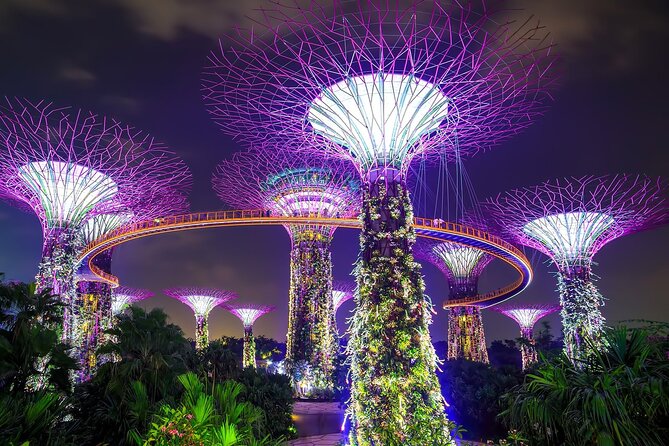 Singapore Gardens by the Bay Tickets & Transfer - Questions and Information