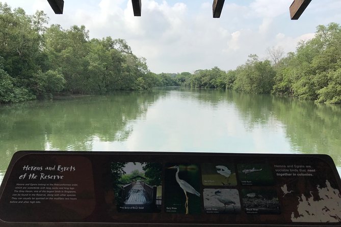 Singapore Private Sungei Buloh Wetland Reserve Tour - Visitor Satisfaction Insights