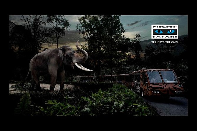 Singapore Zoo Night Safari Walk, Tram With Dinner Option - Additional Booking Information