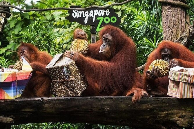 Singapore Zoo - Cancellation Policy