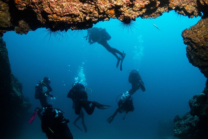 Single Scuba Try-Dive in Puerto Del Carmen - Small Groups - 2 Hours - Meeting and Pickup Details