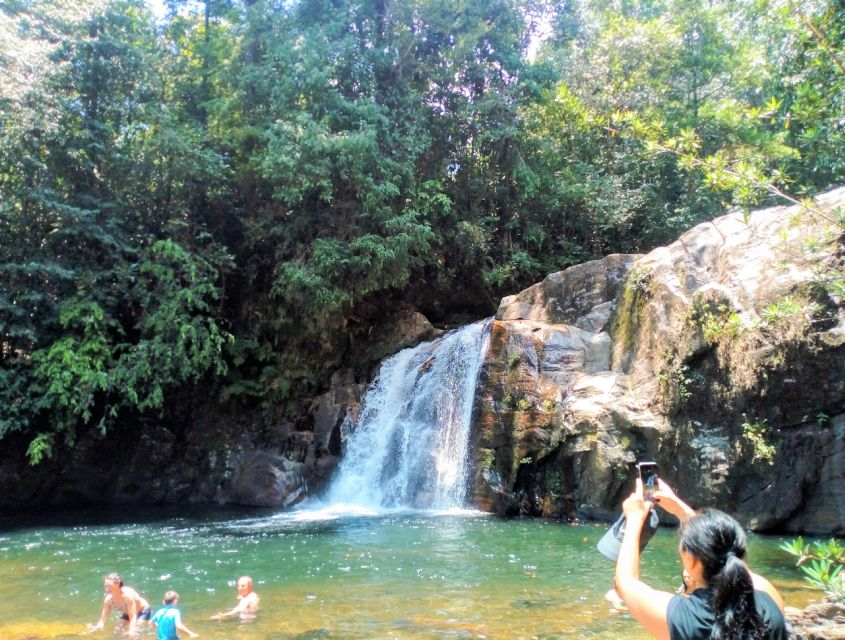 Sinharaja Rainforest Private & Customize Tour - Tour Experience