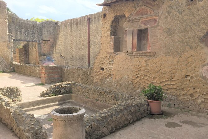 Skip the Line Ancient Herculaneum Walking Tour With Top Rated Guide - Historical Commentary
