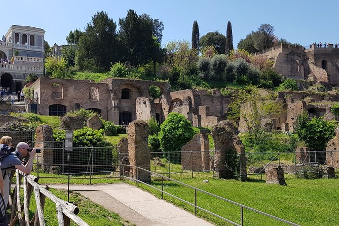 Skip The Line: Colosseum, Roman Forum, Palatine Hill Guided Tour - Meeting Point