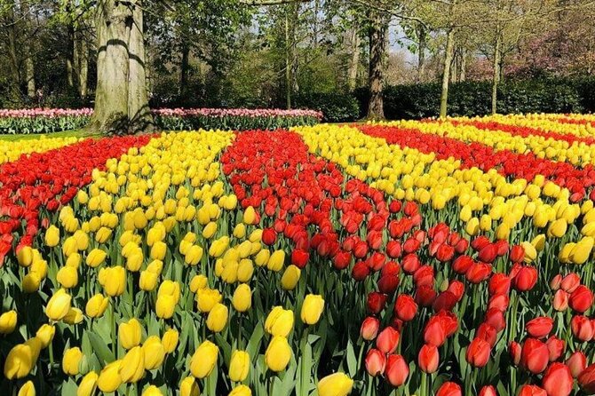 Skip-The-Line Keukenhof Gardens and Tulip Fields Tour From Amsterdam - Flexible Exploration Pace Offered