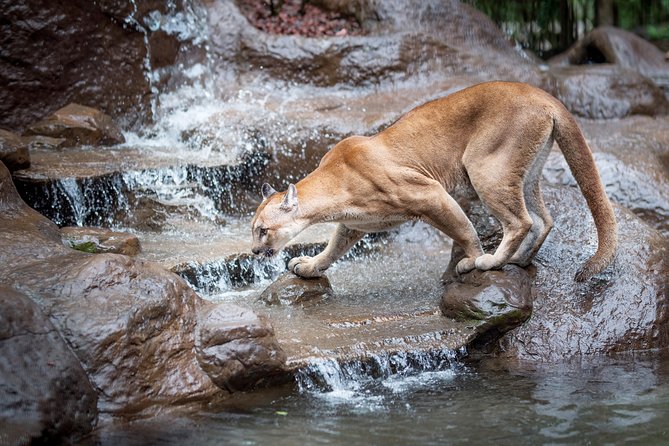 Skip the Line:Day Ticket-La Paz Waterfall Gardens Nature Park & Wildlife Refuge - Park Overview