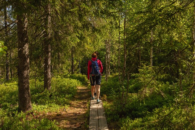 Skjennungen Forest Hiking Adventure (Mar ) - Fitness Level Recommendation
