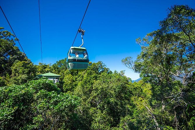 Skyrail Rainforest Cableway Day Trip From Cairns - Itinerary