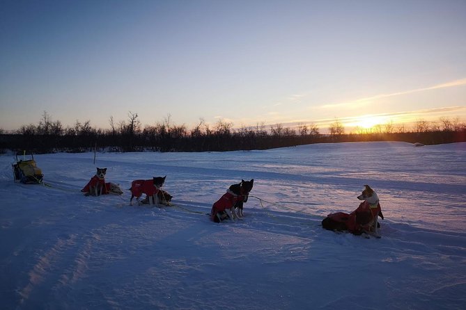 Sled Trip With Husky in the Alta Valley - Cancellation Policy