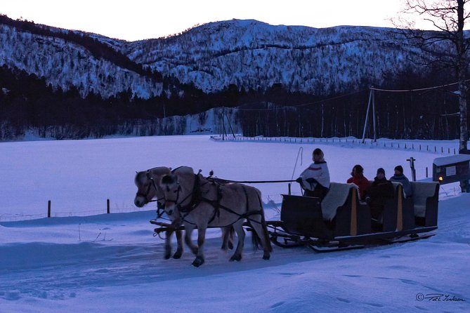 Sleigh Ride W/ Tapas Meal - Experience Arctic Farm Life - Accessibility and Policies