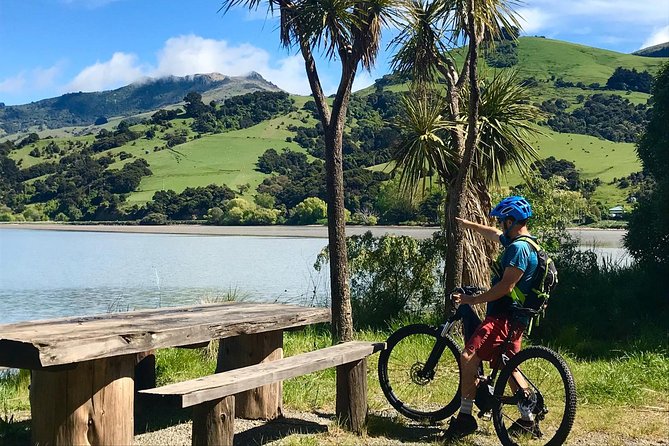 Small-Group 2.5-Hour E-Bike Cycling Tour, Akaroa Harbour  - Canterbury - Expectations and Requirements