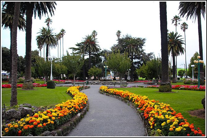 Small Group 2.5-Hour Napier History and Art Deco Tour - Cancellation Policy Details