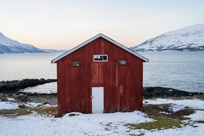 Small-Group Arctic Sightseeing Tour With Citizen Science From Tromso - Logistics and Pickup